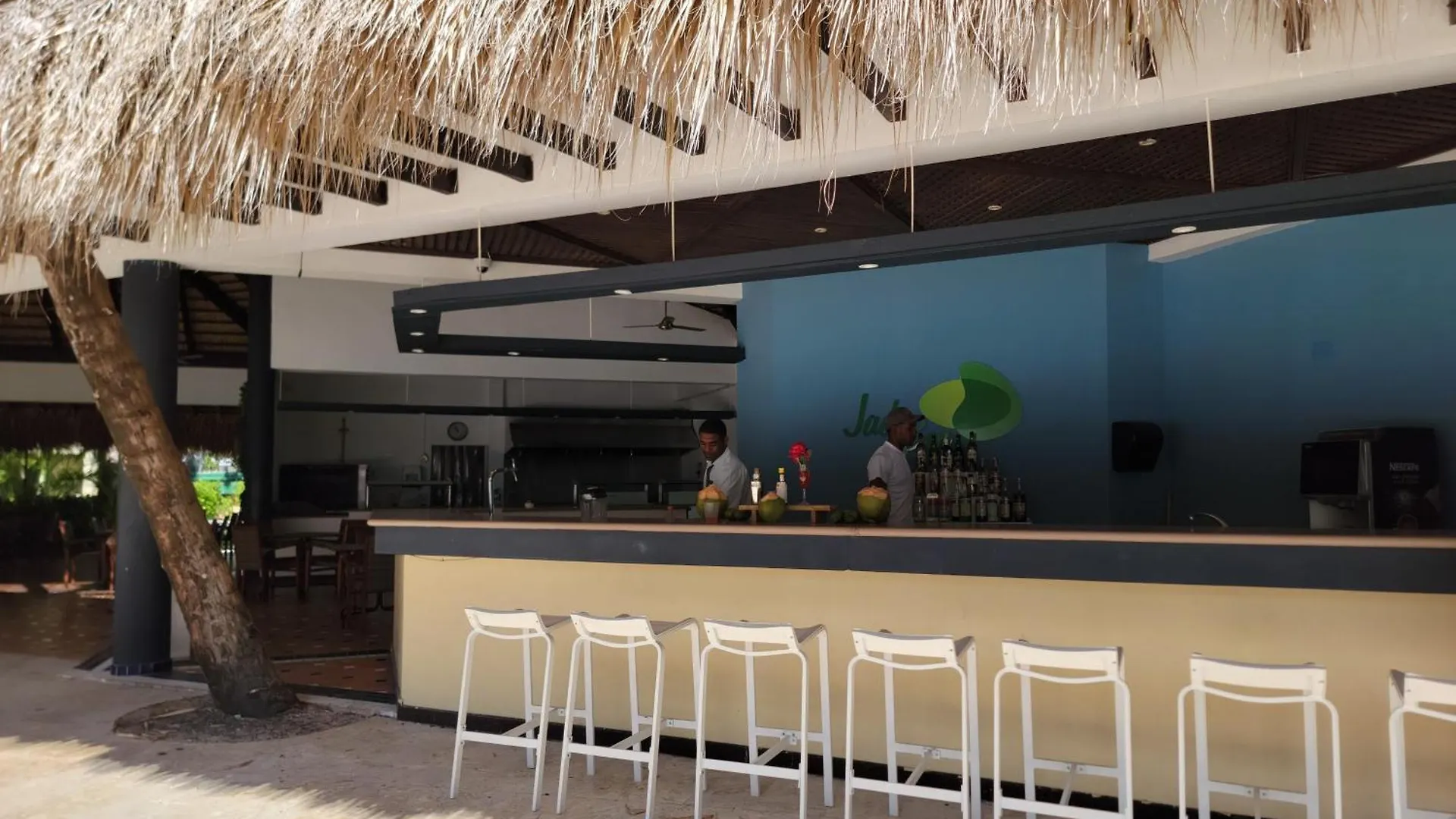Impressive Premium Punta Cana