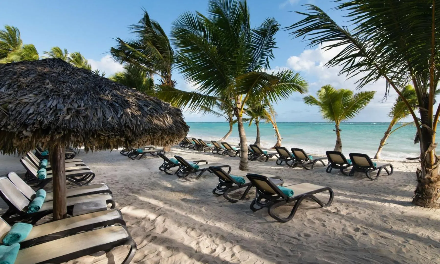 Impressive Premium Punta Cana Dominican Republic