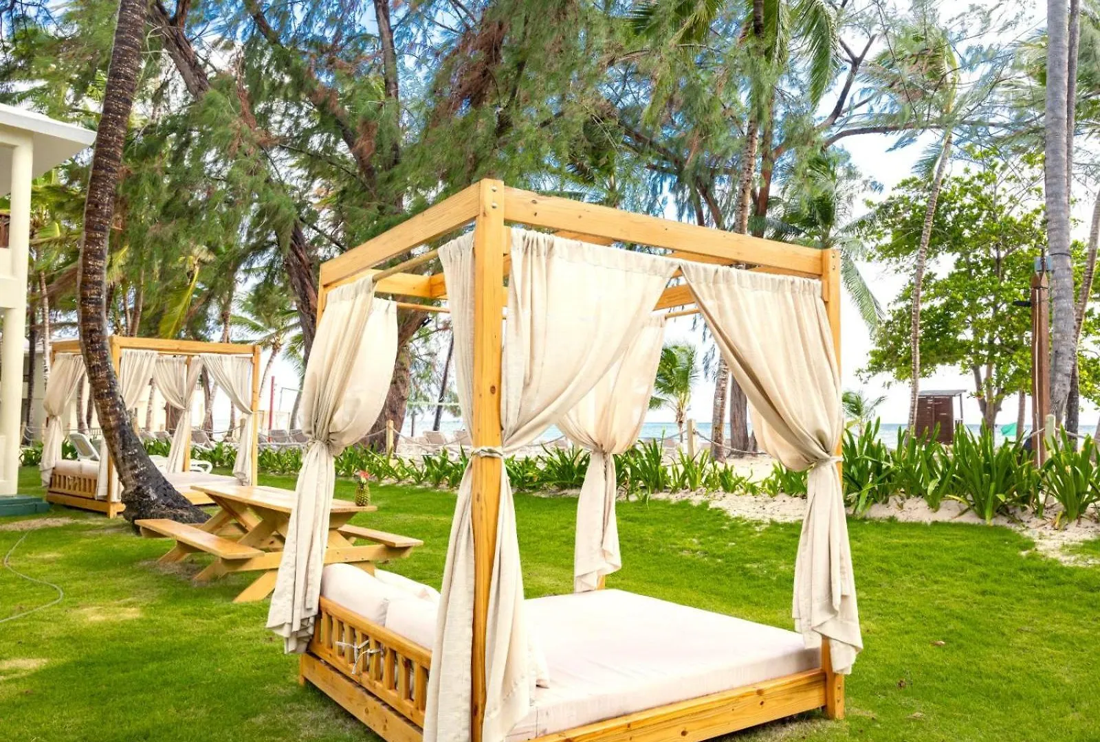 Impressive Premium Punta Cana