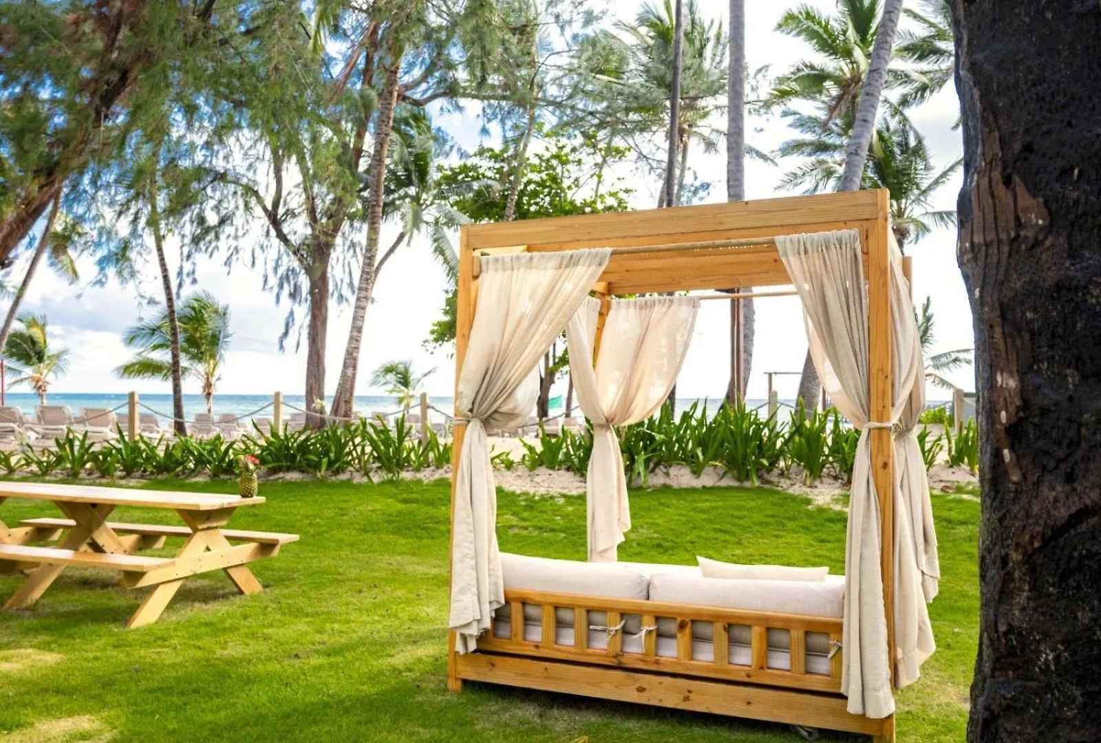 ***** Resort Impressive Premium Punta Cana Dominican Republic